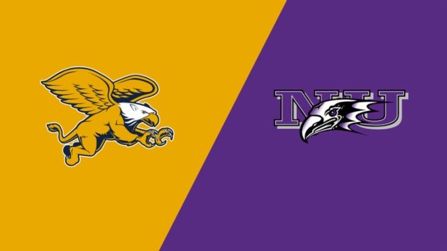 新星崭露头 新星崭露头