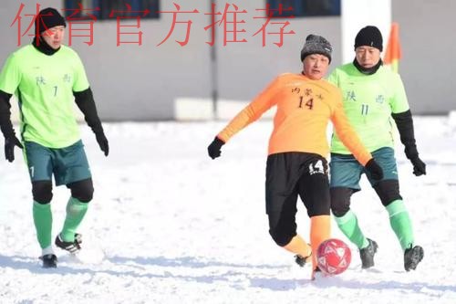 “十四冬”群众组雪地足球项目男子甲组比赛落幕 湖北队捧得冠军